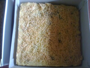 Photo0043